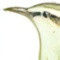 Calandria